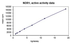 Eurofins DiscoverX NDR1 Protein, Active 250 &mu;g | Buy Online | Eurofins DiscoverX | Fisher Scientific